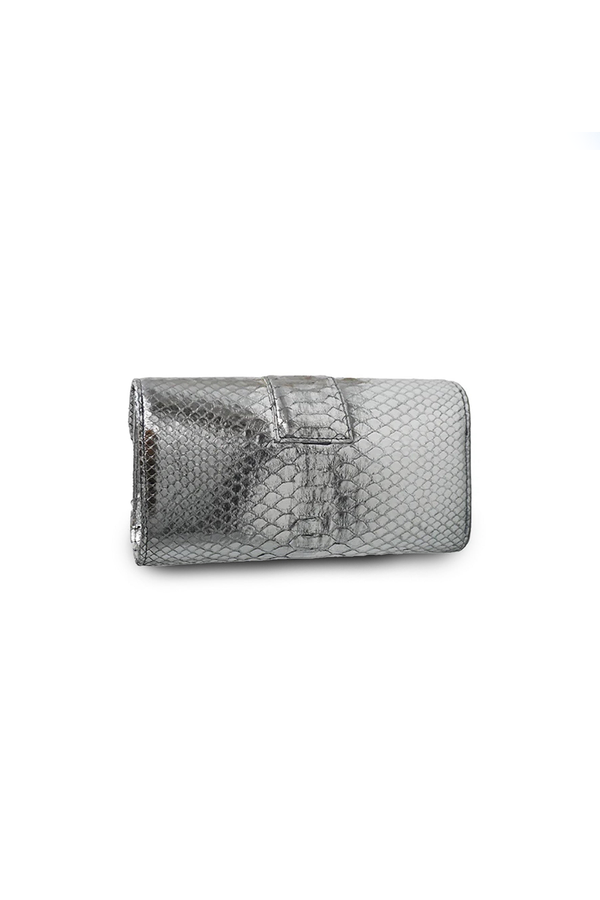 Rita Small in Metallic Silver