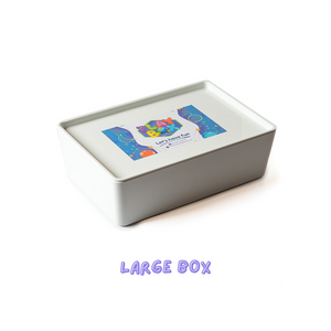 Play Box - Bento Box