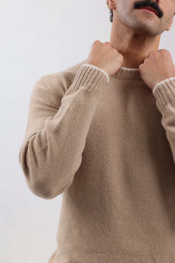 Cashmere Crew Neck Sweater in Camel