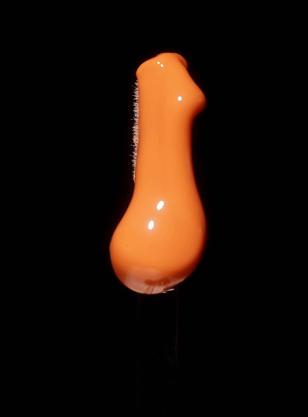 Rebirth TINTED Whipped Lip Oil