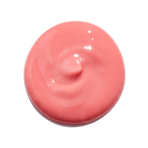 Rebirth TINTED Whipped Lip Oil