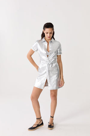 Franca Metallic Linen Dress - Silver