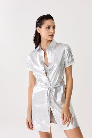 Franca Metallic Linen Dress - Silver