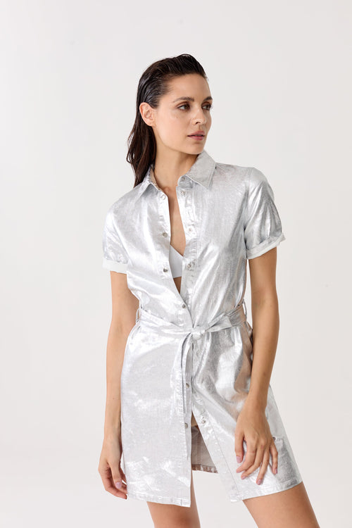 Franca Metallic Linen Dress - Silver