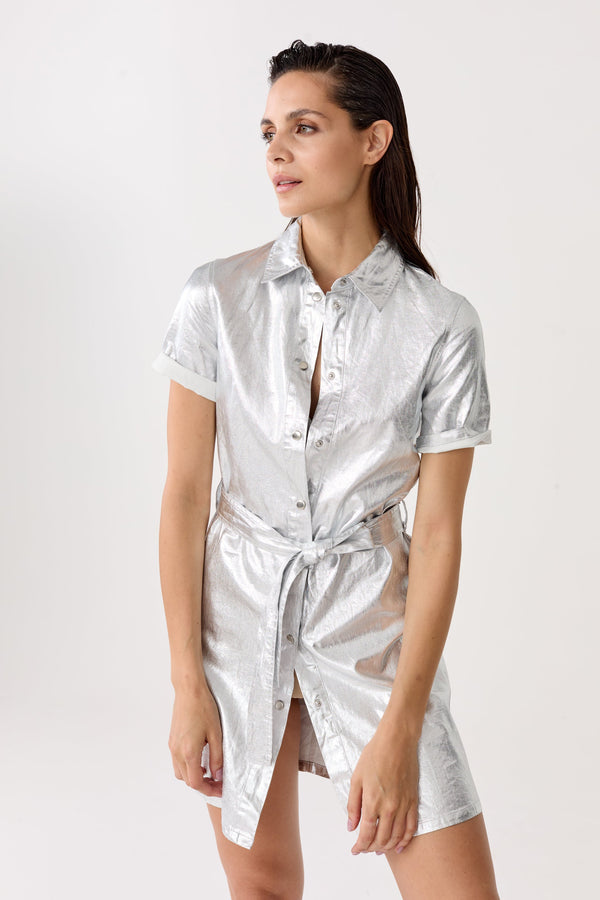 Franca Metallic Linen Dress - Silver