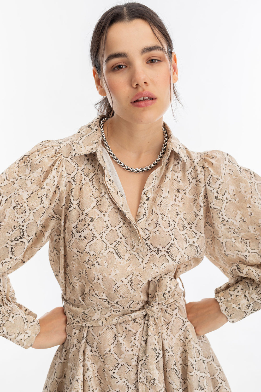 Camille Metallic Linen Dress - Snake