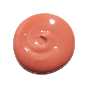 Rebirth TINTED Whipped Lip Oil