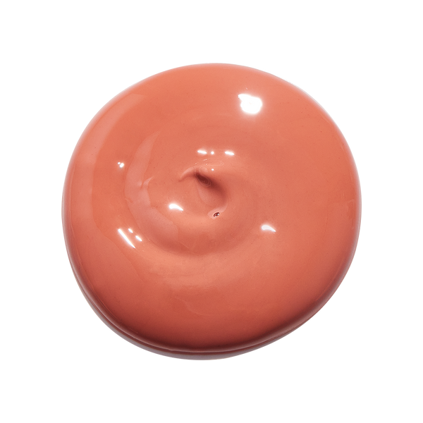 Rebirth TINTED Whipped Lip Oil