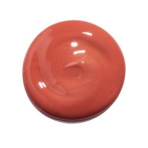 Rebirth TINTED Whipped Lip Oil