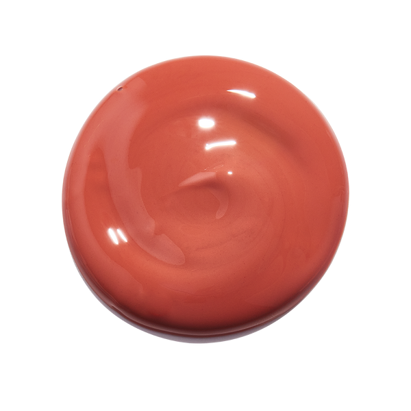 Rebirth TINTED Whipped Lip Oil