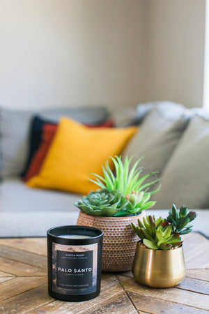 PALO SANTO | Clarity + Cleanse