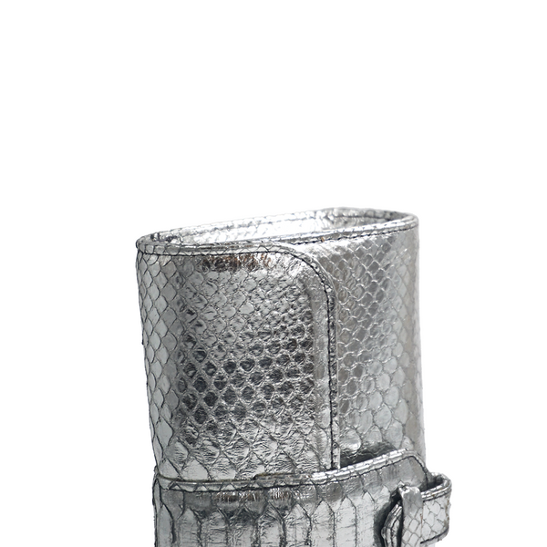 Rita Small in Metallic Silver