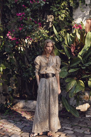 Sabi Metallic Linen Pants - Snake Print