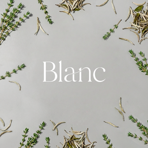 A/C Scenting System Pro Kit |  Blanc