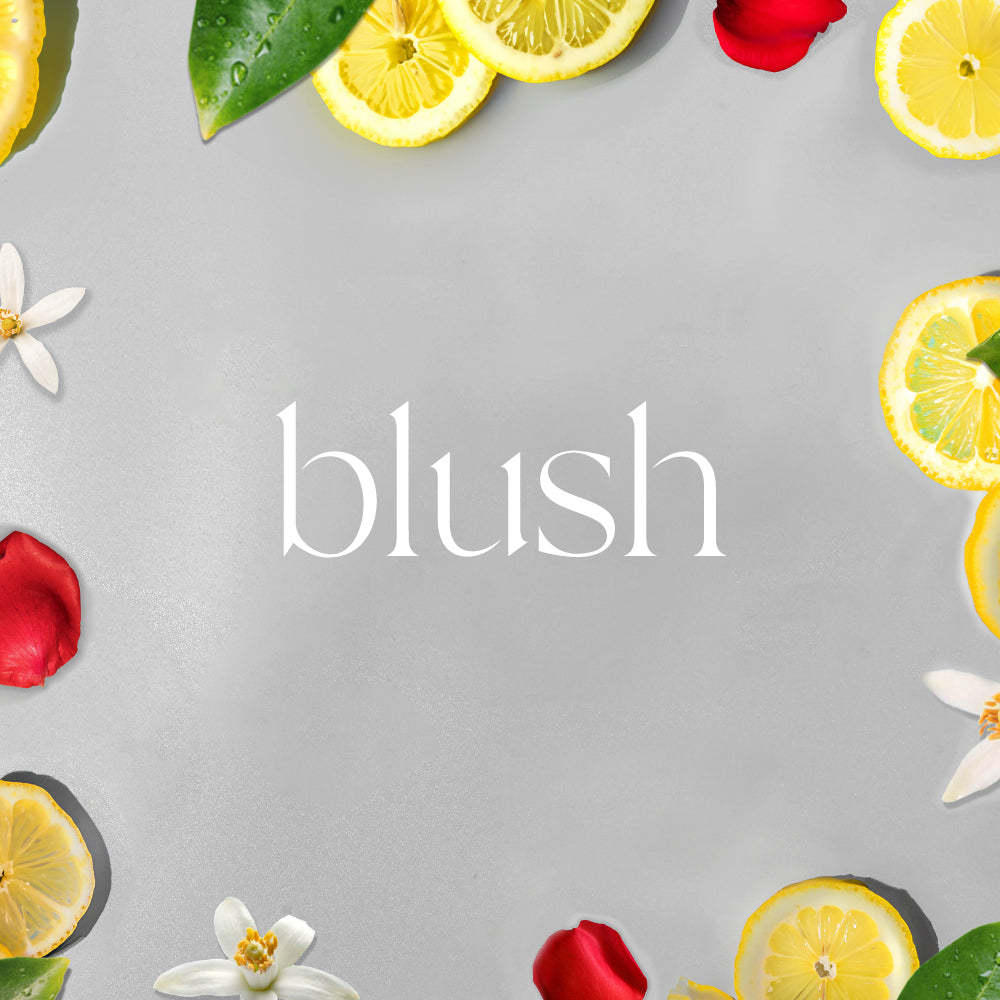 A/C Scenting System Pro Kit | Blush