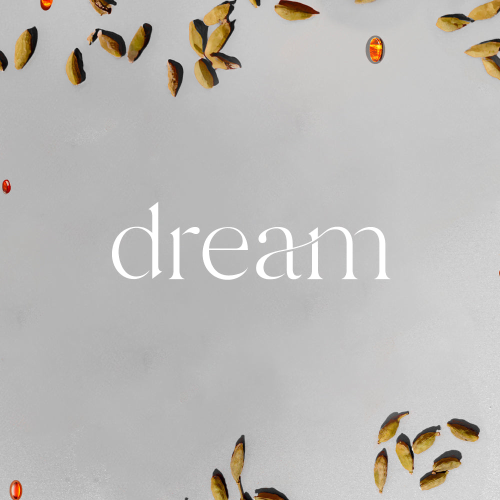 Reed Diffuser & Refill Bundle | Dream