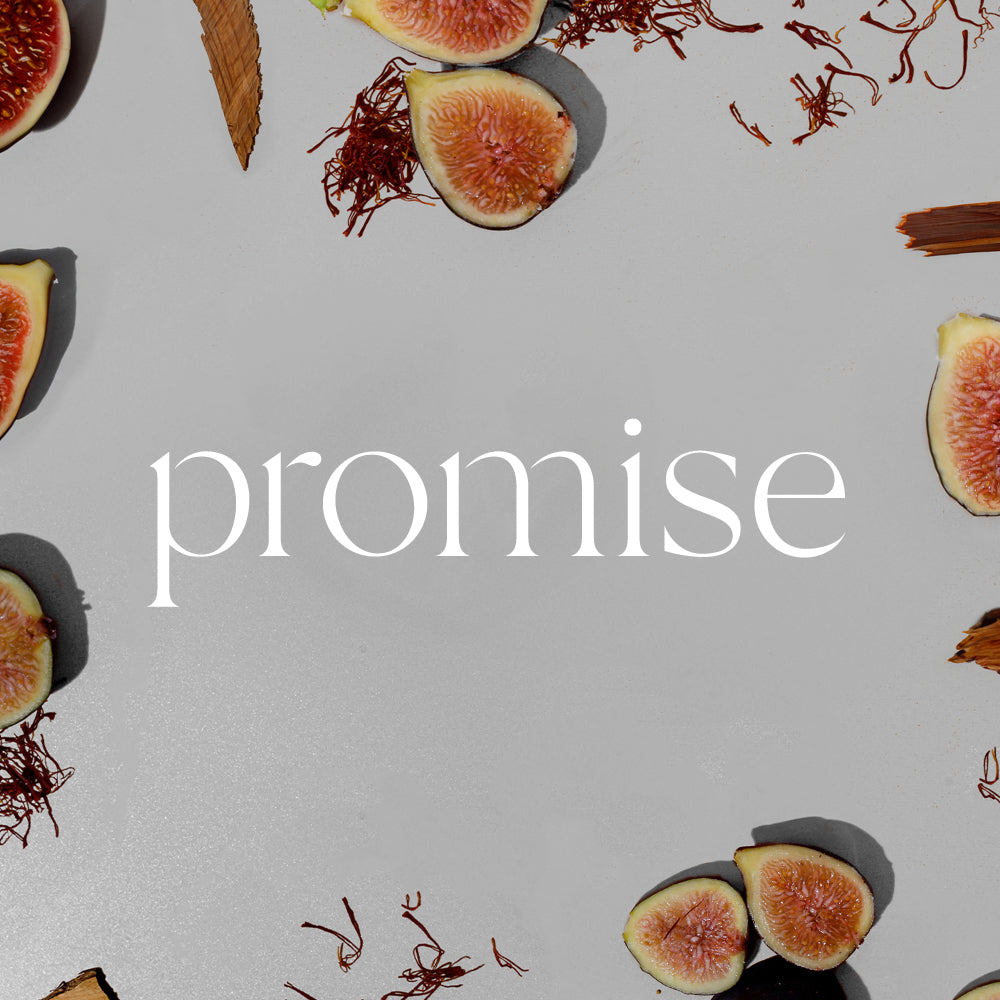 Oil Reed Diffuser & Refill Bundle | Promise